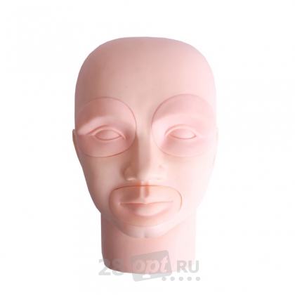 Модель головы для практики ZX-075